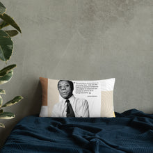 Load image into Gallery viewer, James Baldwin Paradox Of Education Pillow