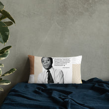 Load image into Gallery viewer, James Baldwin Paradox Of Education Pillow