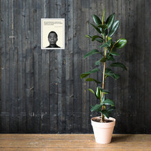 Load image into Gallery viewer, James Baldwin Framed poster
